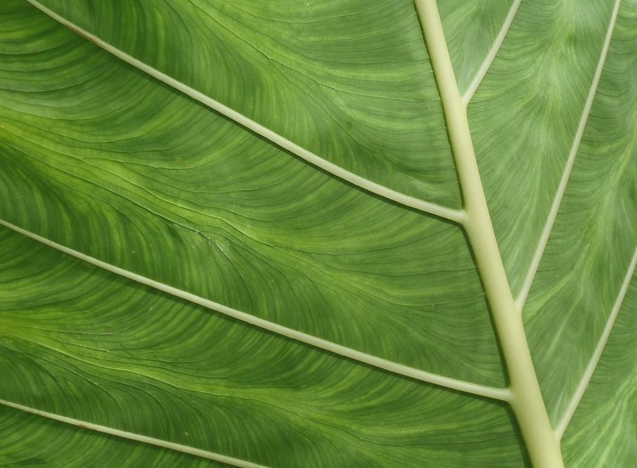 Dinas Damkar Melawi Evakuasi Longsor di Gudang